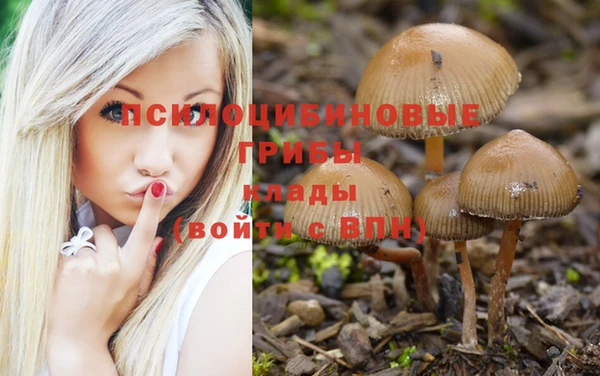 не бодяженный Беломорск