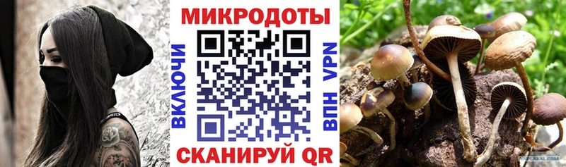 ОМГ ОМГ вход  купить   Буйнакск  Псилоцибиновые грибы прущие грибы 